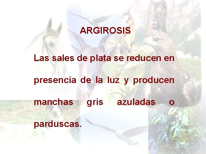 ARGIROSIS Las sales de plata se reducen en presencia de la luz y producen