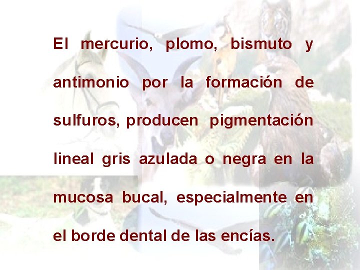 El mercurio, plomo, bismuto y antimonio por la formación de sulfuros, producen pigmentación lineal