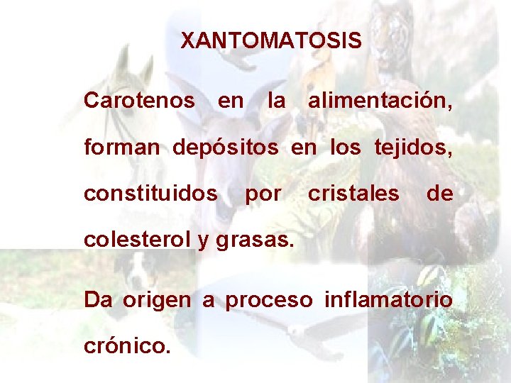 XANTOMATOSIS Carotenos en la alimentación, forman depósitos en los tejidos, constituidos por cristales de