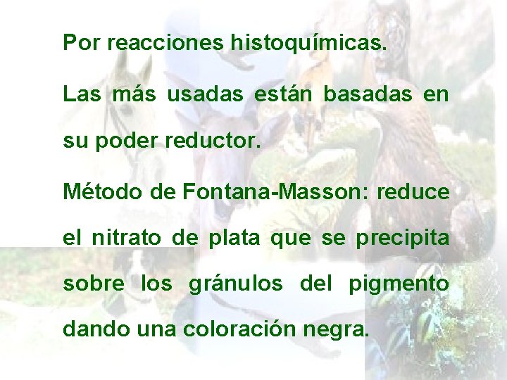 Por reacciones histoquímicas. Las más usadas están basadas en su poder reductor. Método de