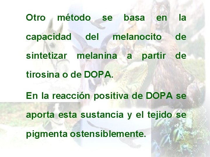 Otro método capacidad sintetizar del se basa en melanocito melanina a partir la de