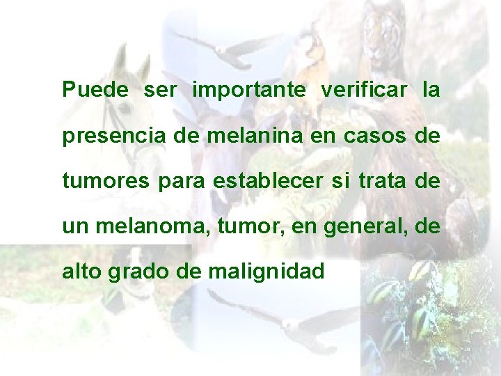 Puede ser importante verificar la presencia de melanina en casos de tumores para establecer
