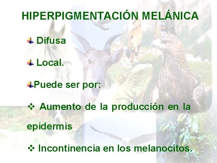 HIPERPIGMENTACIÓN MELÁNICA Difusa Local. Puede ser por: v Aumento de la producción en la
