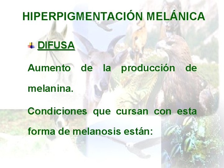 HIPERPIGMENTACIÓN MELÁNICA DIFUSA Aumento de la producción de melanina. Condiciones que cursan con esta