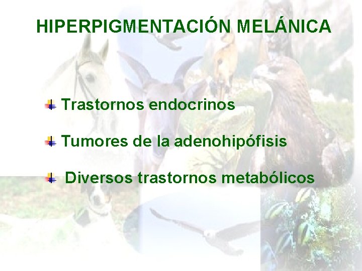 HIPERPIGMENTACIÓN MELÁNICA Trastornos endocrinos Tumores de la adenohipófisis Diversos trastornos metabólicos 