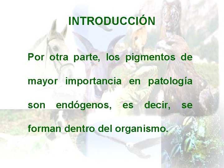 INTRODUCCIÓN Por otra parte, los pigmentos de mayor importancia en patología son endógenos, es