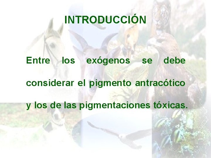 INTRODUCCIÓN Entre los exógenos se debe considerar el pigmento antracótico y los de las