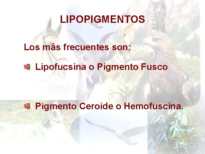 LIPOPIGMENTOS Los más frecuentes son: Lipofucsina o Pigmento Fusco Pigmento Ceroide o Hemofuscina. 