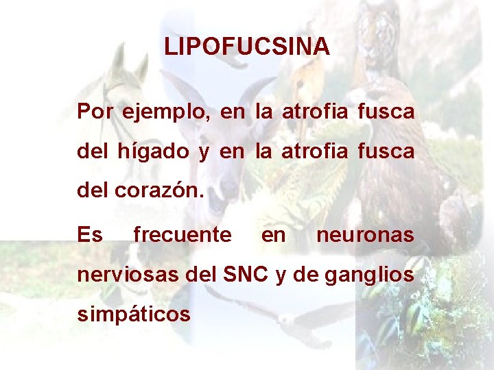 LIPOFUCSINA Por ejemplo, en la atrofia fusca del hígado y en la atrofia fusca