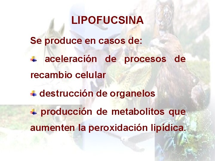 LIPOFUCSINA Se produce en casos de: aceleración de procesos de recambio celular destrucción de