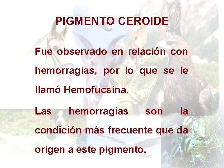 PIGMENTO CEROIDE Fue observado en relación con hemorragias, por lo que se le llamó