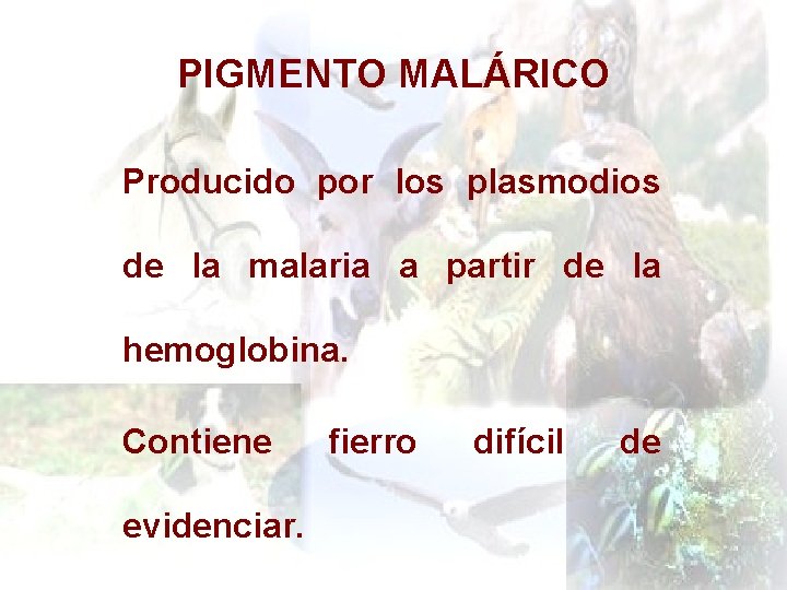 PIGMENTO MALÁRICO Producido por los plasmodios de la malaria a partir de la hemoglobina.