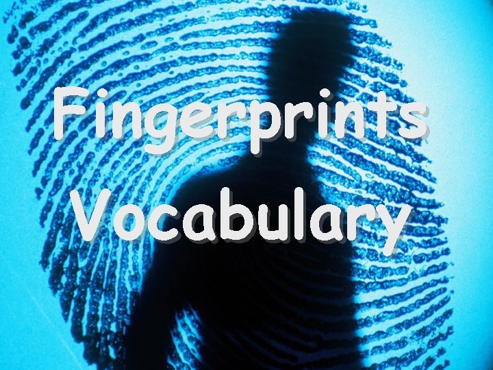 Fingerprints Vocabulary 