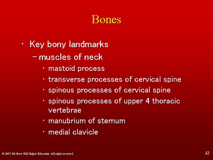 Bones • Key bony landmarks – muscles of neck • • mastoid process transverse