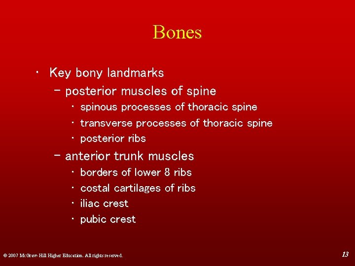 Bones • Key bony landmarks – posterior muscles of spine • • • spinous