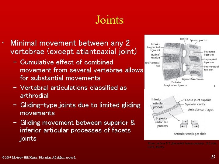 Joints • Minimal movement between any 2 vertebrae (except atlantoaxial joint) – Cumulative effect