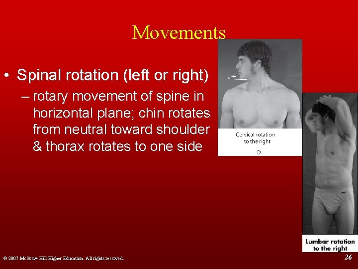 Movements • Spinal rotation (left or right) – rotary movement of spine in horizontal