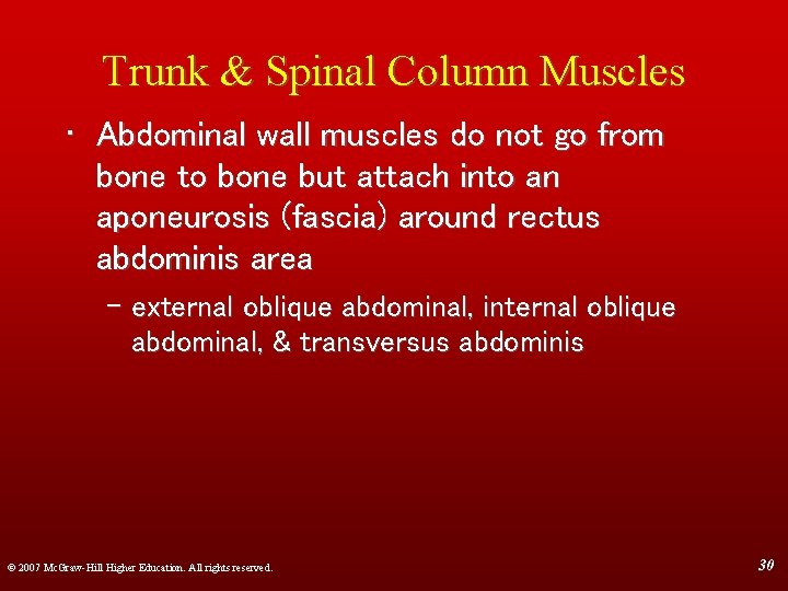Trunk & Spinal Column Muscles • Abdominal wall muscles do not go from bone