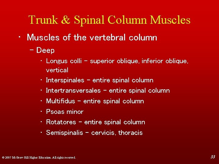 Trunk & Spinal Column Muscles • Muscles of the vertebral column – Deep •