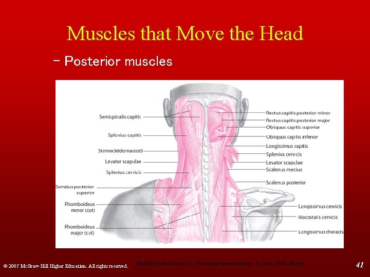 Muscles that Move the Head – Posterior muscles © 2007 Mc. Graw-Hill Higher Education.