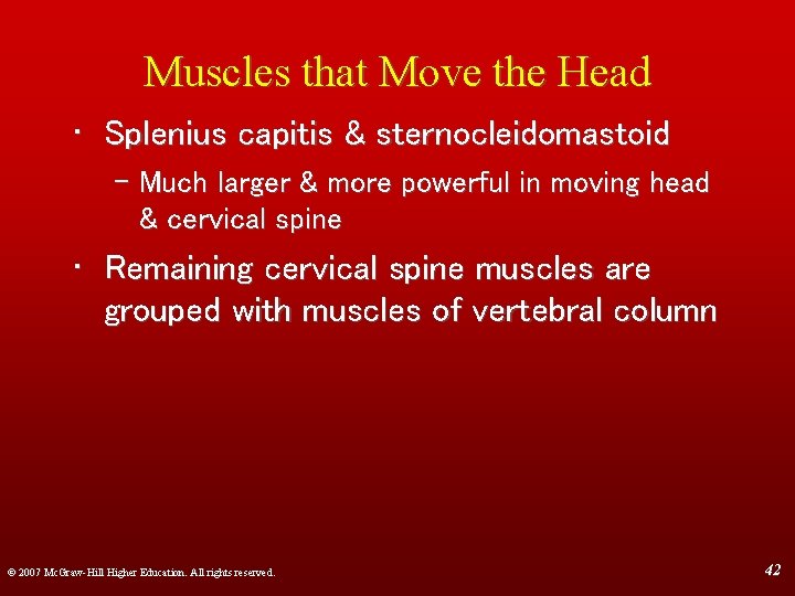 Muscles that Move the Head • Splenius capitis & sternocleidomastoid – Much larger &
