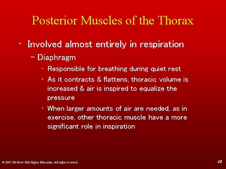 Posterior Muscles of the Thorax • Involved almost entirely in respiration – Diaphragm •