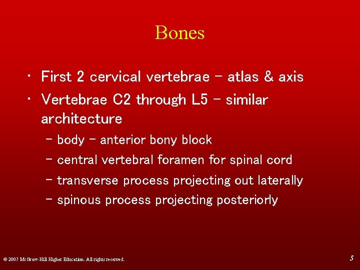 Bones • First 2 cervical vertebrae - atlas & axis • Vertebrae C 2