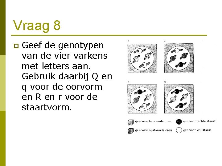 Vraag 8 p Geef de genotypen van de vier varkens met letters aan. Gebruik