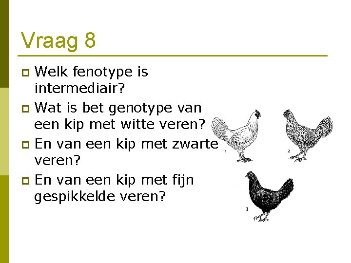 Vraag 8 Welk fenotype is intermediair? p Wat is bet genotype van een kip