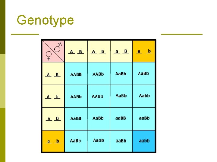 Genotype 