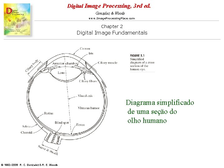 Digital Image Processing, 3 rd ed. Gonzalez & Woods www. Image. Processing. Place. com Digital Image Processing, 3 rd ed. Gonzalez & Woods www. Image. Processing. Place. com