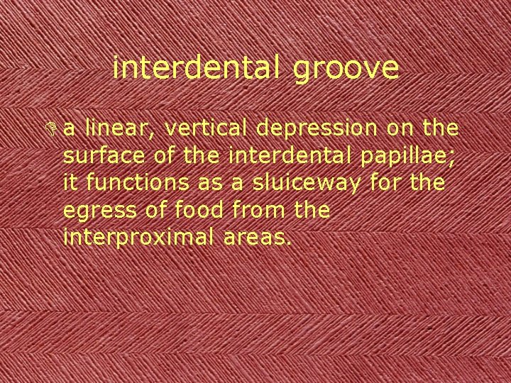 interdental groove D a linear, vertical depression on the surface of the interdental papillae;