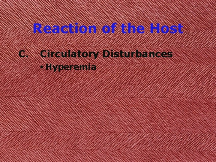 Reaction of the Host C. Circulatory Disturbances § Hyperemia 