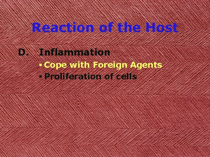 Reaction of the Host D. Inflammation § Cope with Foreign Agents § Proliferation of