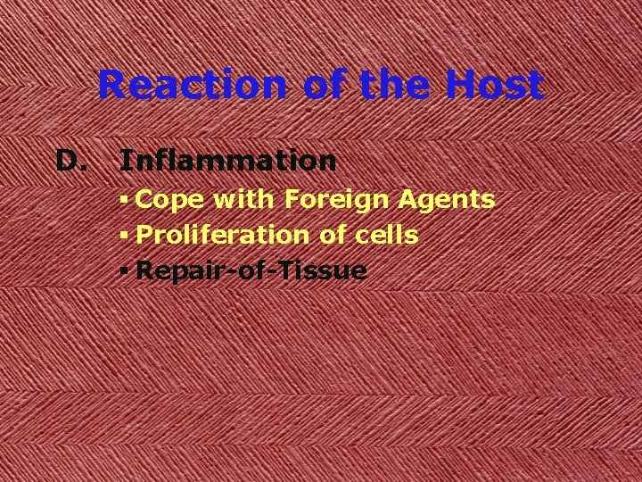 Reaction of the Host D. Inflammation § Cope with Foreign Agents § Proliferation of