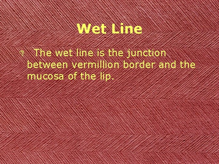 Wet Line D The wet line is the junction between vermillion border and the