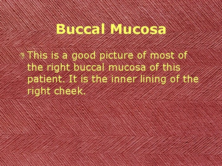 Buccal Mucosa D This is a good picture of most of the right buccal