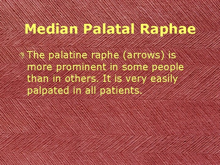 Median Palatal Raphae D The palatine raphe (arrows) is more prominent in some people