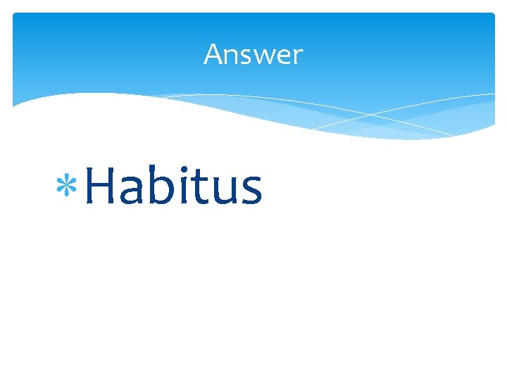 Answer Habitus 