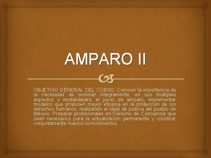 AMPARO II OBJETIVO GENERAL DEL CURSO: Conocer la importancia de la necesidad de dominar