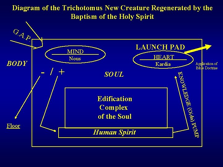 Diagram Of The Trichotomus New Creature Regenerated By Diagram Of The Trichotomus New Creature Regenerated By