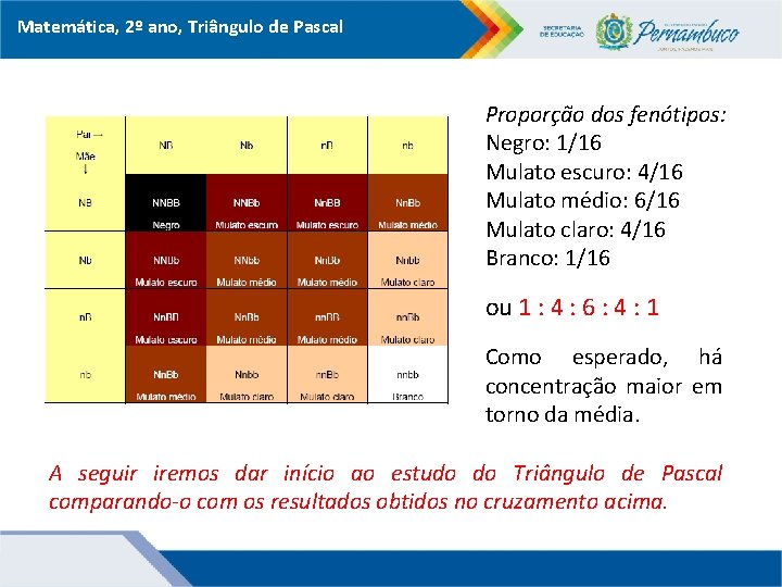 Matemática, 2º ano, Triângulo de Pascal Proporção dos fenótipos: Negro: 1/16 Mulato escuro: 4/16