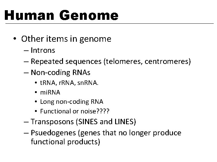 Human Genome • Other items in genome – Introns – Repeated sequences (telomeres, centromeres)