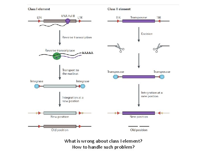 What is wrong about class I element? How to handle such problem? 