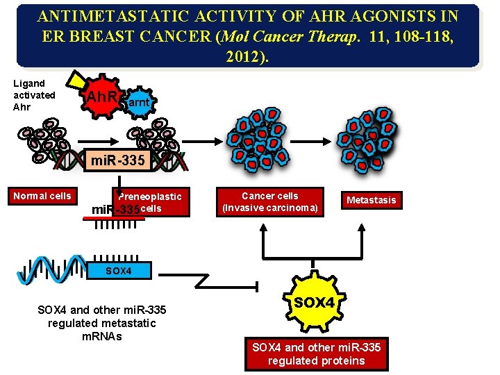 ANTIMETASTATIC ACTIVITY OF AHR AGONISTS IN ER BREAST CANCER (Mol Cancer Therap. 11, 108