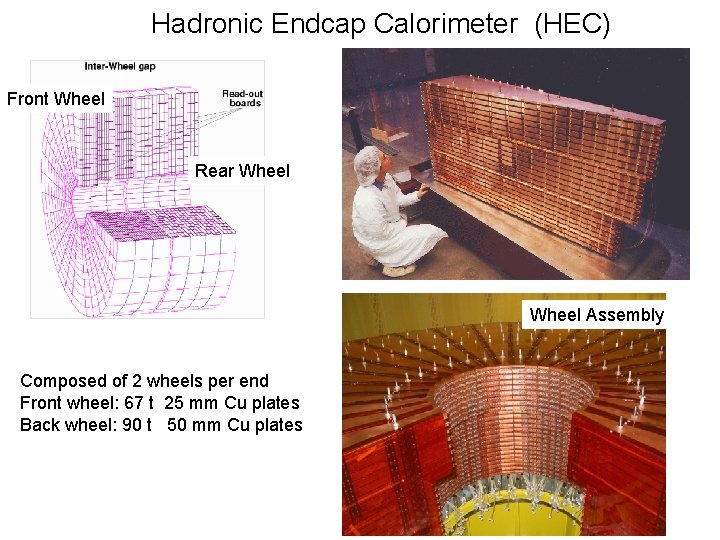 Hadronic Endcap Calorimeter (HEC) Front Wheel Rear Wheel Assembly Composed of 2 wheels per