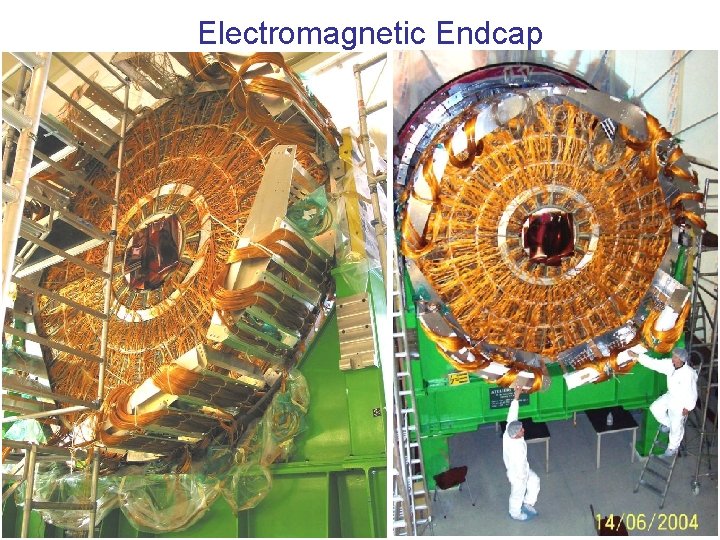 Electromagnetic Endcap 
