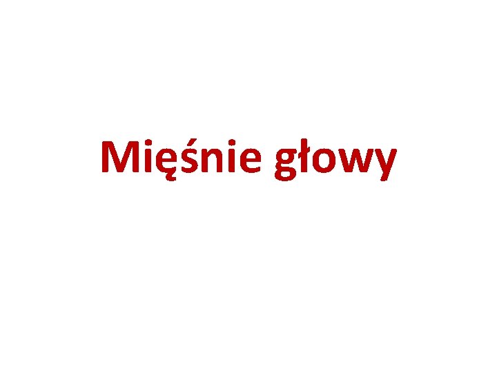 Mięśnie głowy Mięśnie głowy
