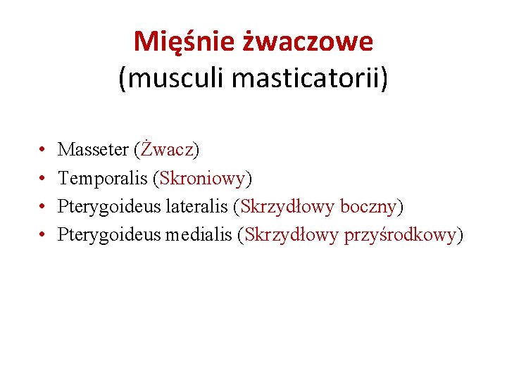 Mięśnie żwaczowe (musculi masticatorii) • • Masseter (Żwacz) Temporalis (Skroniowy) Pterygoideus lateralis (Skrzydłowy boczny) Mięśnie żwaczowe (musculi masticatorii) • • Masseter (Żwacz) Temporalis (Skroniowy) Pterygoideus lateralis (Skrzydłowy boczny)