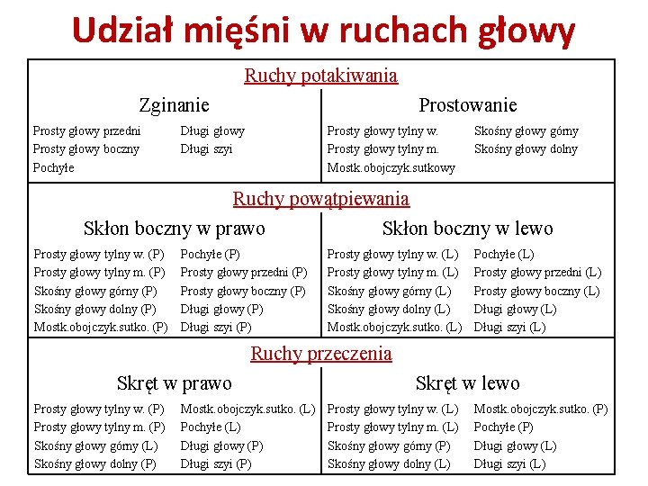 Udział mięśni w ruchach głowy Ruchy potakiwania Zginanie Prosty głowy przedni Prosty głowy boczny Udział mięśni w ruchach głowy Ruchy potakiwania Zginanie Prosty głowy przedni Prosty głowy boczny